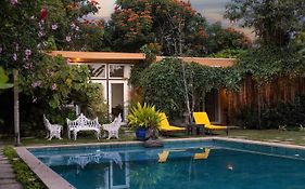 Orchid Tree Nature Stays